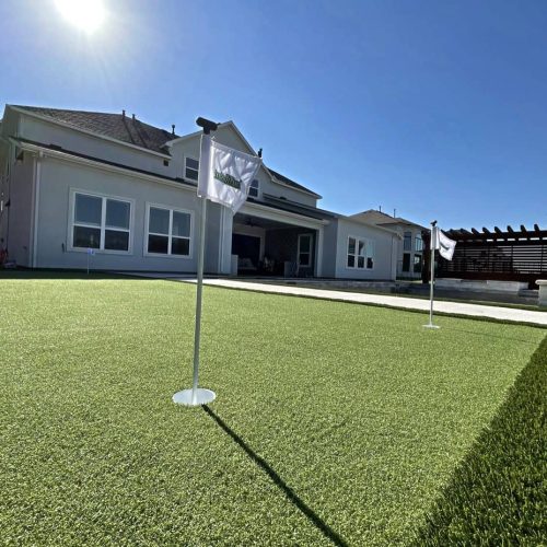 Outdoor space and pristine turf in Harvest 76226